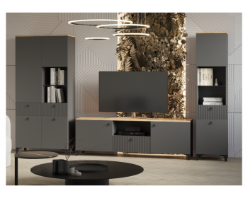 Гостиная Ника эйхория QR- / графит комплектация Готовая