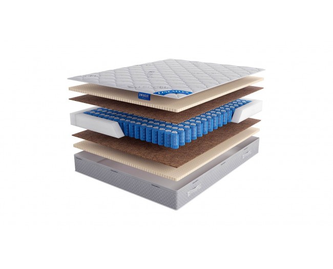 Chelsea Active фото